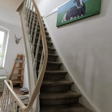 Am Stadtwald Apartman Krefeld